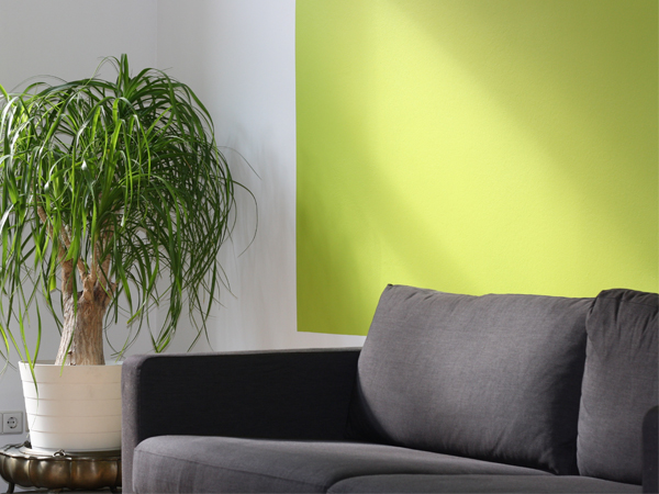 สินค้า06